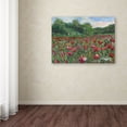 thumbnail image 3 of Trademark Fine Art "Poppy Field Wood" Canvas Art by Manor Shadian, 3 of 3