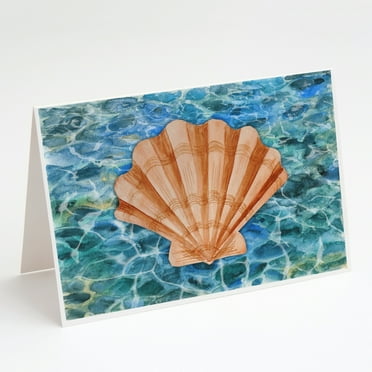 Scallop Shell and Water Greeting Cards and Envelopes Pack of 8