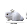 thumbnail image 3 of Hxlamzoo Jouets pour Enfants Modèle de Simulation de Pâques Modèle de Lapin Réaliste Jouets en Solde, 3 of 8