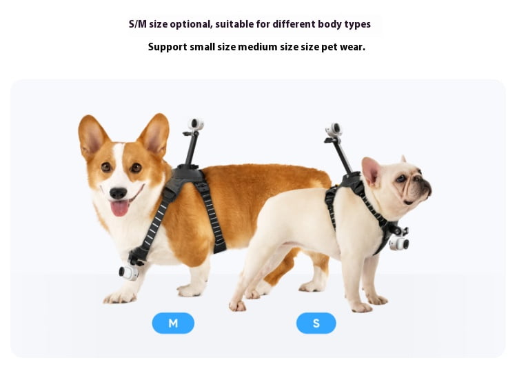 Dual-Angle Pet Camera Harness - Bigcan Adjustable Dog Chest & Back Mount Vest Compatible with GO 3S/GO 3/GO 2, Lightweight Breathable Strap for Small Medium Pets