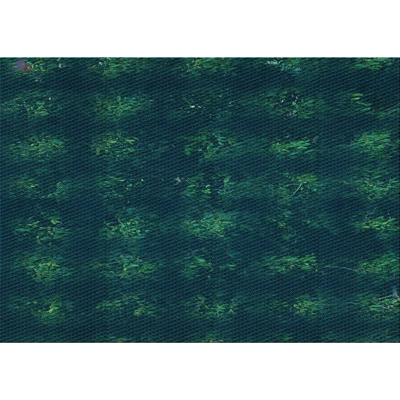 Ahgly Company Indoor Rectangle Patterned Teal Green Area Rugs, 2' x 4'