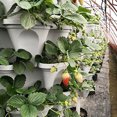 thumbnail image 3 of Zeus Plastic Stackable Vertical Flower Plant Pot Seedling Holder Garden Planter Decor, 3 of 6