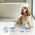 thumbnail image 6 of Scott Pet Guard Dog Pads - Dog Training Pee Pads for Puppies, Medium & Large Dogs - Up to 12 Hour Absorbent Odor Control - Easily Disposable Dog Pee Pads - Size XL - 30" x 36" - 40 Pack of Pet Pads, 6 of 8