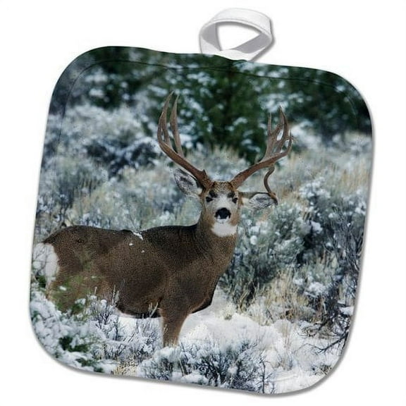 3dRose, Mule Deer Buck on alert, late Autumn Snow, 8x8 Potholder
