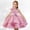 hwj# Pink2423, variant on Huowey Girls Girl Pageant Tutu Dress Ruffles Solid Color Sleeveless Round Neck Sequins A-Line High Waist Wedding Formal Elegant Lace Gown Party Maxi Dress Flowy Skater Dress,Beige,5-6 Years