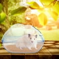 thumbnail image 5 of Pet's Paradise: Premium Plastic Hamster Sand Bath, Ultra Lightweight Small Animal Bathroom for Stress Relief, Detachable Design Easy to Clean for Dwarf Hamster Gerbil (S, Light, 5 of 5