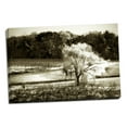 thumbnail image 2 of Gango Home Decor Vineyard I by Alan Hausenflock (Ready to Hang); One 36x24in Hand-Stretched Canvas, 2 of 4