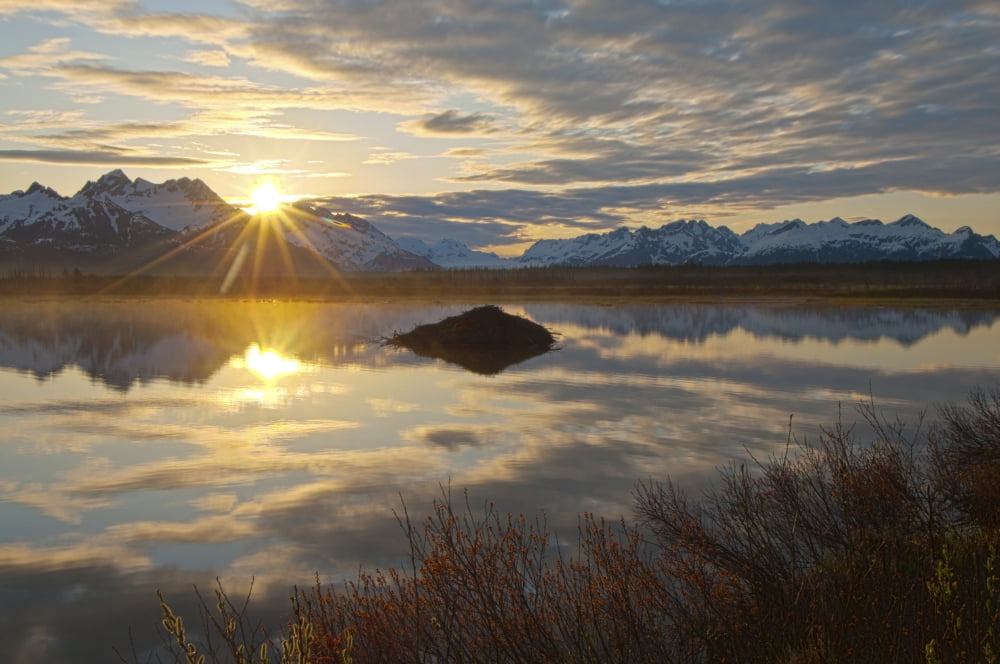 Sun Rises Over The Chugach Mountains With A Pond And Beaver Lodge In The Foreground Copper River Highway Chugach National Forest Southcentral Alaska Spring Hdr Canvas Art - Carl Johnson Design Pics (