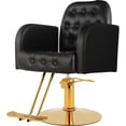 thumbnail image 1 of Silla Clasica Premium Barberia Estetica Giro 360° Neumatica Negro, 1 of 9