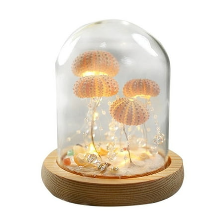 

Lunaluna Handmade Sea Night Light DIY Lamp Material Night Lamp In Glass Dome With LED Bedroom Living Room Dcor
