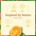 thumbnail image 3 of SVA Orange Essential Oil – 4 Fl Oz – 100% Natural Orange Oil - for Diffuser, Hair Care, Face, Skin Care, Aromatherapy, Scalp and Body Massage, Soap and Candle Making - with Dropper, 3 of 5