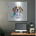 thumbnail image 5 of Luxe Metal Art 'Colorful Watercolor Beagle 2' by Furbaby Affiliates, Metal Wall Art, 36"x36", 5 of 9