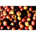 thumbnail image 3 of Hausenflock, Alan 14x11 Black Modern Framed Museum Art Print Titled - Apples, 3 of 5