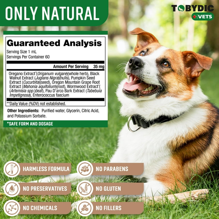Natural remedies for roundworms in dogs 2025