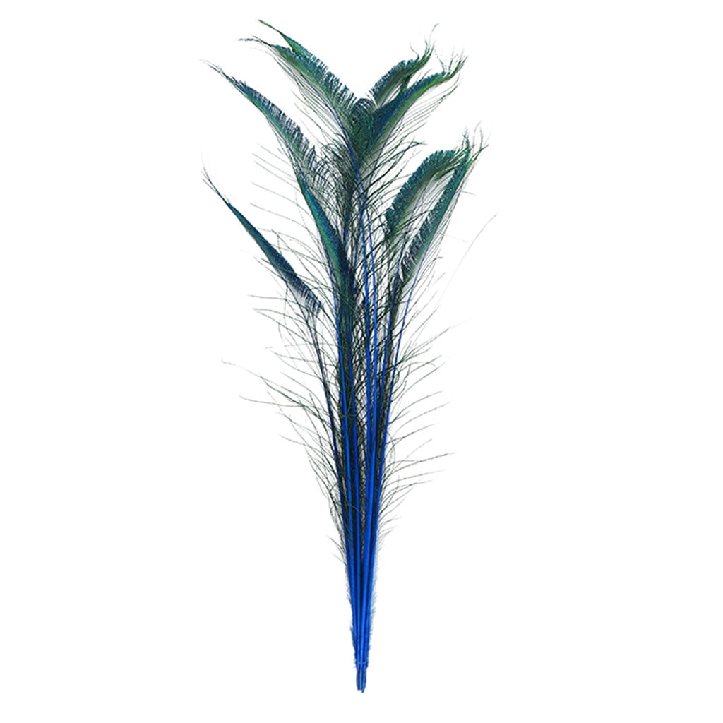 Zucker Feather Products Peacock Swords Stem Dyed Feathers 2540