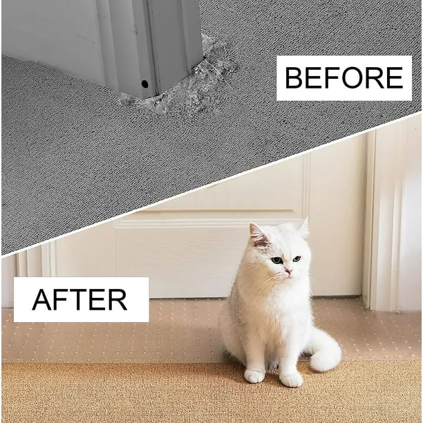 Cat scratching up carpet best sale