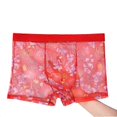 thumbnail image 3 of Calzoncillos tipo bóxer transparentes ultrafinos para hombre, ropa interior sexy sin costuras, 3 of 5