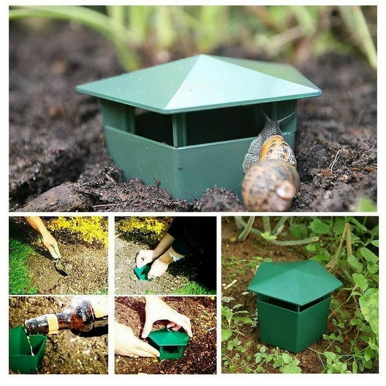 Snail Habitat, Snail Home, Natural Environment, Warm and
