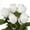 White, variant on 5 Pcs Artificial Roses Flowers 24" Real Touch Silk Roses Bouquet Long Stem Fake Roses for Flower Arrangements Home Party Wedding Table Centerpieces, White