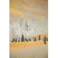 thumbnail image 2 of Grall, Don 13x18 White Modern Wood Framed Museum Art Print Titled - CO, San Juan Mts Spruce mixed with aspen, autumn, 2 of 4