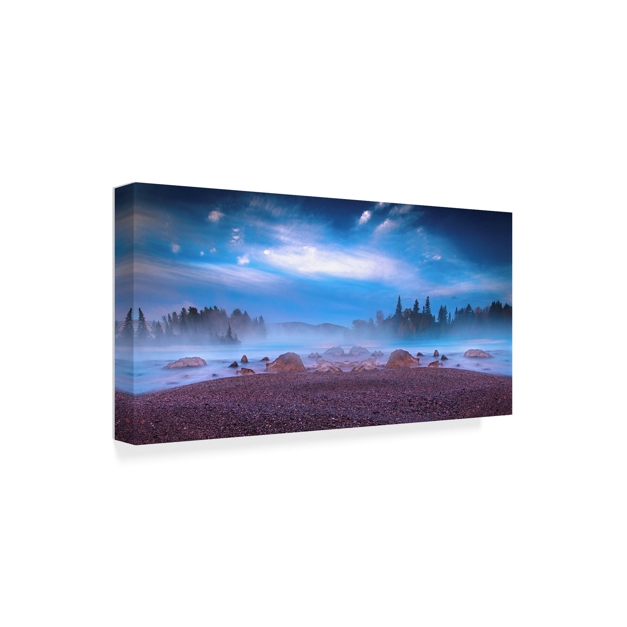 Trademark Fine Art 'Nature Collection 10' Canvas Art by Ata Alishahi