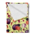 thumbnail image 2 of Eggplant Soft Flannel Fleece Throw Blanket, Eggplant Tomato Relish Onion Going Green Eating Organic Tasty Preserve Nature, Cozy Plush for Indoor and Outdoor Use, 60" x 80", Multicolor, by Ambesonne, 2 of 5