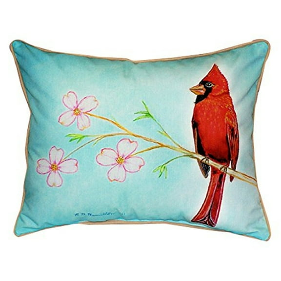 Betsy Drake ZP470 Dicks Cardinal Throw Pillow- 20 x 24 in.