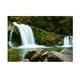 thumbnail image 2 of Nuevo Cartel de Fondo de Acuario de , Decoración de de , de , Terrario, Imagen de Fondo de Pared Stream 122x46cm, 2 of 9
