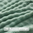 thumbnail image 5 of Twin Blanket for Couch Green Super Soft Flannel Fleece 3D Bubble Lightweight Bed Blanket All Season Use (New Sage Green, Twin(60"x80")), 5 of 9