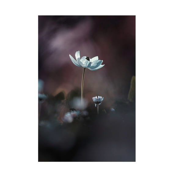 Canvas Wall Art - Fabien Bravin 'Elles, Mes Fleurs, Acmoi' Wall Art for Living Room, Bedroom, or Office Décor by Trademark Fine Art - 12 x 19 Inches