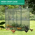thumbnail image 4 of NAIZEA Walk-in Mesh Crop Cage with Zippered Door, Plant Protection Tent for Garden Plants, Vegetables, Flowers, 4 of 10