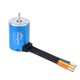 thumbnail image 3 of Motor KingVal 3650 4300KV Sensorless Eje 3.175mm ESC 60A, 3 of 9