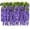 Purple, variant on Sinhoon 6 Pack 3.75 Feet/Piece Artificial Fake Wisteria Vine Ratta Hanging Garland Silk Flowers String Home Party Wedding Decor (White)