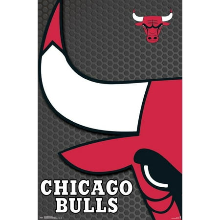 - Chicago Bulls - Logo