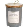 thumbnail image 1 of ORIENT 16OZ Silver Birch Soy Wax Blended Scented Candle,2 mèche de coton, 1 of 4