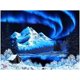 thumbnail image 1 of Rompecabezas Toynk Bob Ross Northern Lights 1000 piezas, 1 of 6