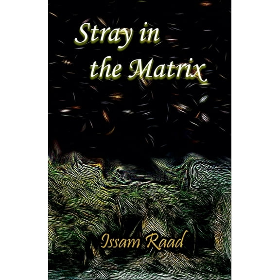Stray in the Matrix, (Paperback)