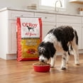 thumbnail image 3 of Ol' Roy Complete Nutrition Chicken Flavor Dry Dog Food, 46 lb Bag, 3 of 8