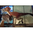 thumbnail image 1 of 24"x36" Gallery Poster, Deinonychus dinosaur, 1 of 1