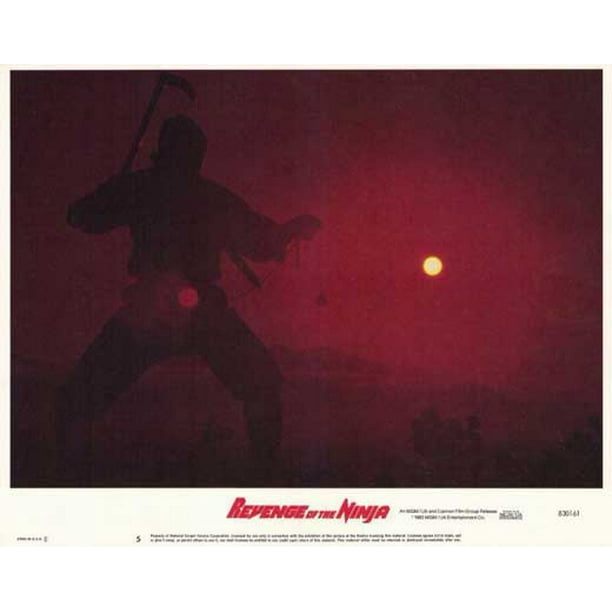 Revenge Of The Ninja Movie Poster Style D 11 X 14 19 Walmart Com