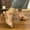 Beige, variant on Hoshose New Summer Women High Heels Sandals Patent Leather Square Toe Non Slip Summer Fashion Outdoor Stiletto Sandals Arch Support