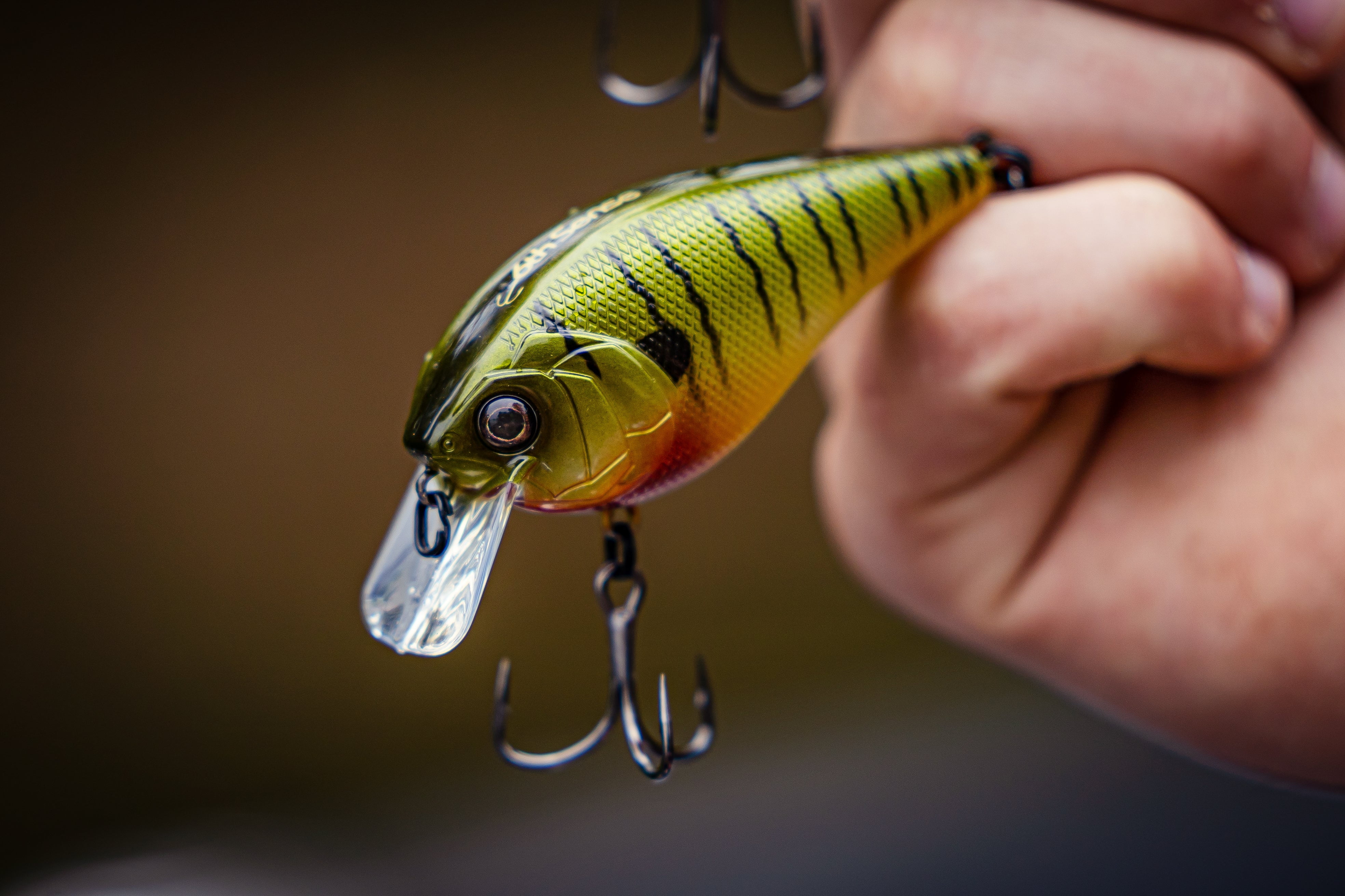 (2 pack) 6th Sense Fishing Crush 50X Squarebill Crankbait - Shad Burst