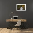 thumbnail image 3 of Haney, Chuck 32x23 White Modern Wood Framed Museum Art Print Titled - Gros Ventre Falls in autumn-Glacier National Park-Montana-USA, 3 of 4