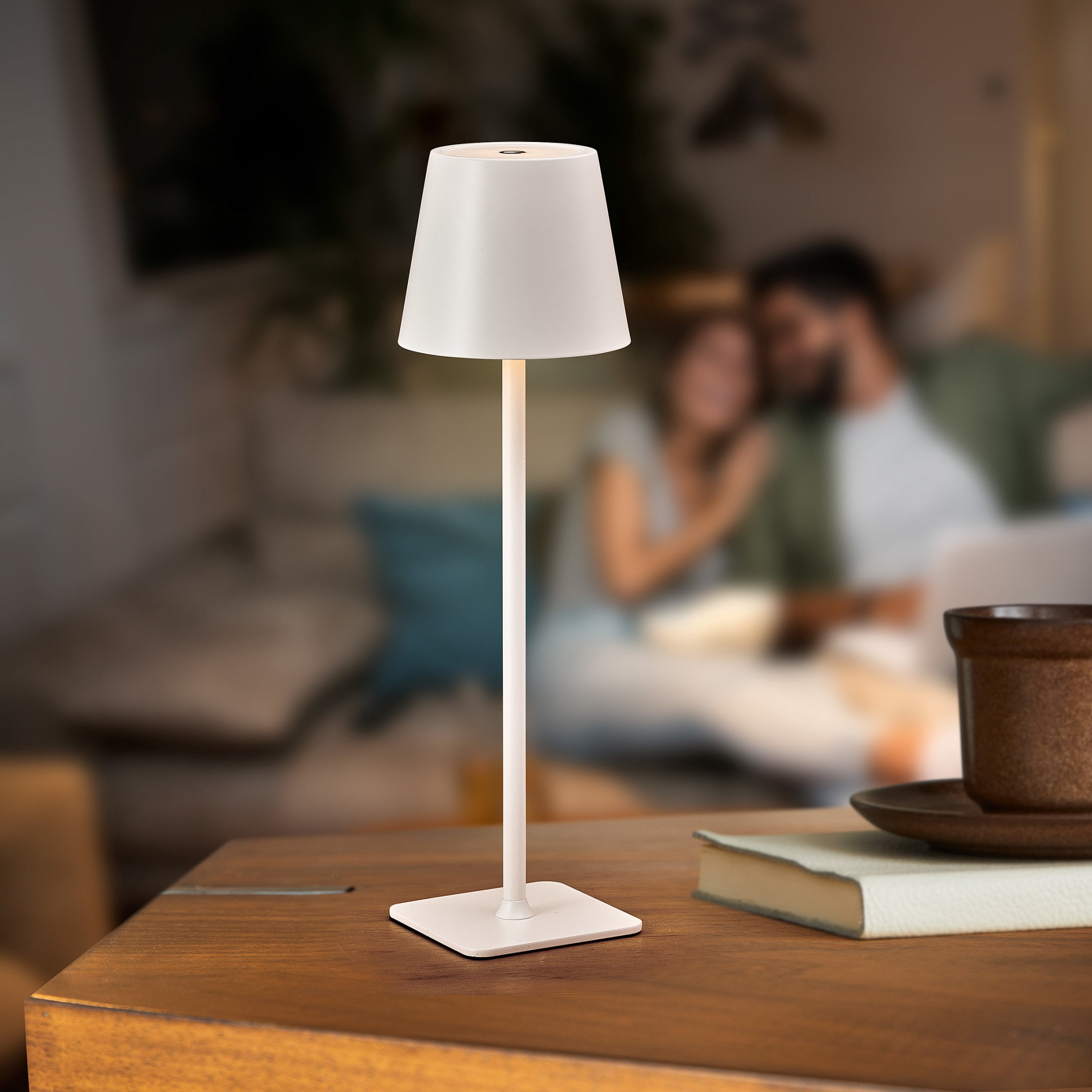 Home Accents 14.8 inch LED Cordless Metal Table Lamp, Rechargeable 3 Color Stepless Dimming, White
