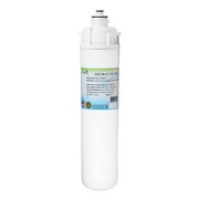 Swift Green Filters SGF-96-23 CTO-ION-S Replacement Water Filter for Everpure EV9607-10,1 Pack