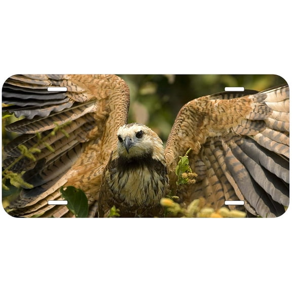 Hawk Novelty Car Auto License Plate