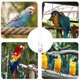 thumbnail image 4 of Comedero para loros, comedero para colibríes, comedero para pájaros, jaula para pájaros, comedero para guacamayos, herramienta de alimentación para pájaros, bandeja para pájaros, 4 of 6