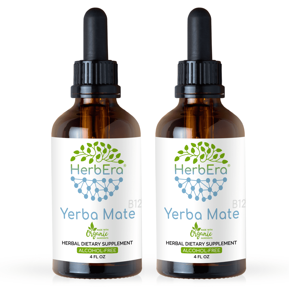 Yerba Mate AlcoholFREE Herbal Extract Tincture, SuperConcentrated