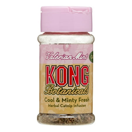 Kong botanicals catnip 2025