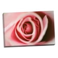 thumbnail image 2 of Gango Home Decor Pink Rose by Erin Berzel (Ready to Hang); One 36x24in Hand-Stretched Canvas, 2 of 4